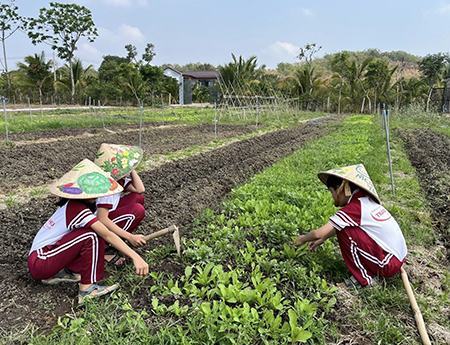 Chung tay bảo vệ môi trường, ứng phó với biến đổi khí hậu