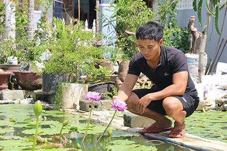 Làm giàu từ hoa súng