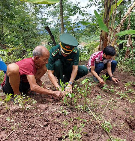 Mang cây lên rừng chống sạt lở