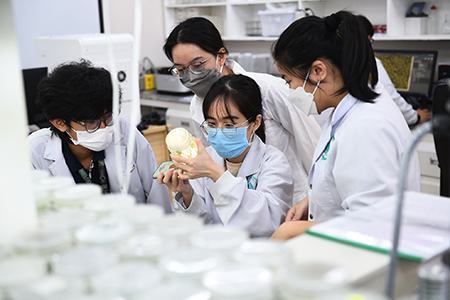 Trường đại học công lập đầu tiên của Việt Nam dùng 100% tiếng Anh để dạy học và nghiên cứu