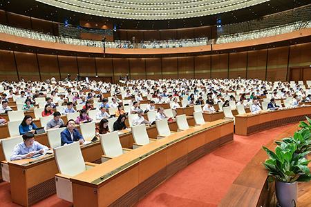 Đại biểu Quốc hội bức xúc: Tình trạng lãng phí đất công diễn ra ở nhiều nơi