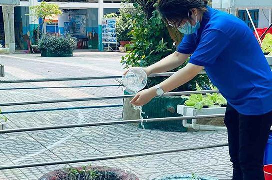 Trường học hưởng ứng Tháng thanh niên