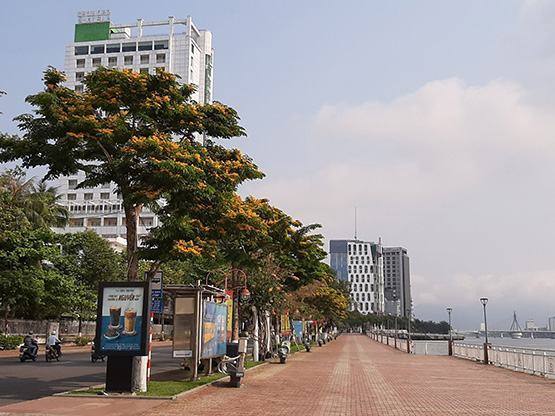 Nhiều hoạt động tạm “đứng yên” phòng dịch Covid-19