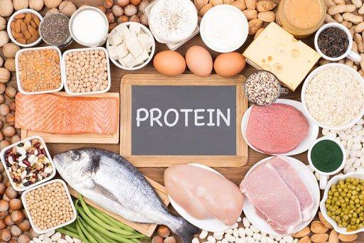 Protein là dưỡng chất thiết yếu cho một sức khỏe tốt.