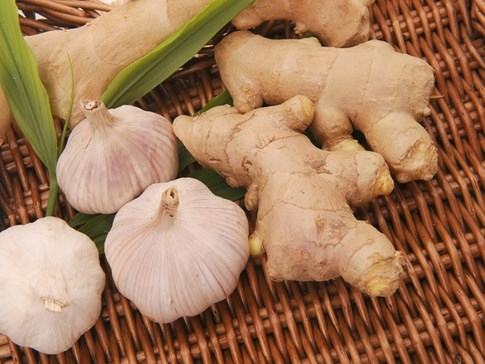 4 thảo dược chữa nhiều bệnh hiệu quả - ảnh 1