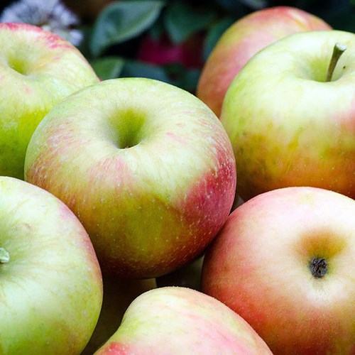 4 thực phẩm ‘cứu đói’ hiệu quả - ảnh 1