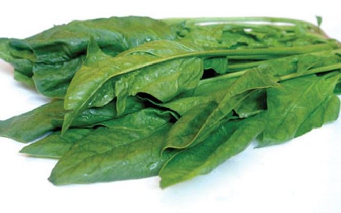 Rau bina /// Ảnh: Hạ Huy