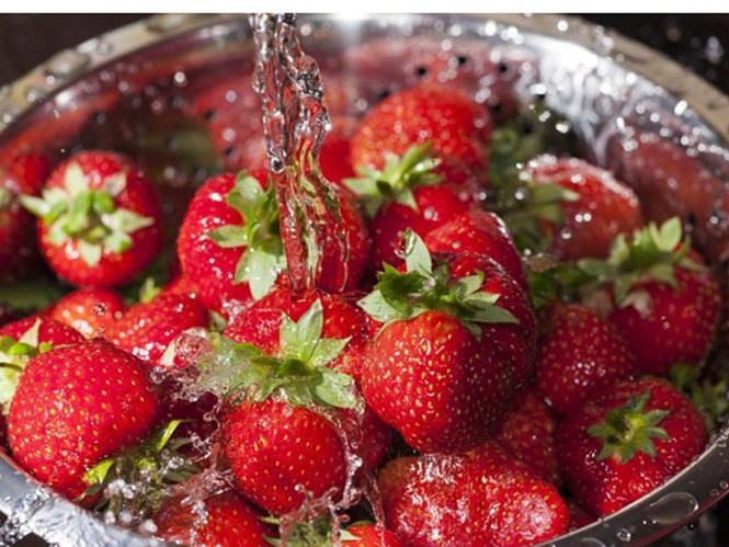 Ảnh minh họa: Shutterstock