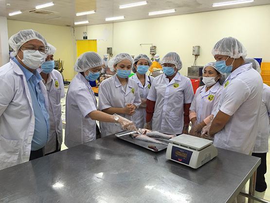 Phạt tiền hàng trăm cơ sở vi phạm ATVSTP