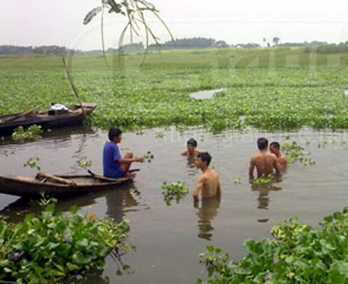 Ảnh : B&aacute; Đ&ocirc;