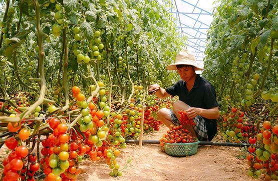 Đà Lạt 125 năm hình thành và phát triển: 60 tác phẩm văn học chào mừng