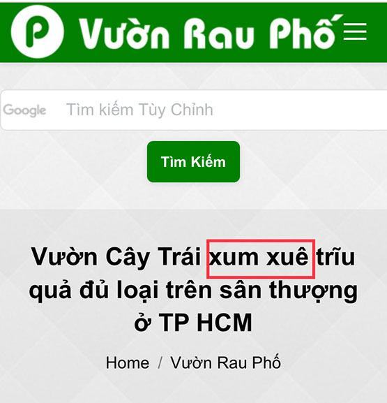 Lỗi chính tả “S – X” và cách khắc phục