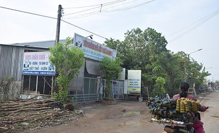 Cò đất dạt về vùng giáp ranh, tiếp tục tung hoành