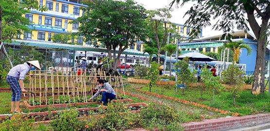 Trường học “khoác áo mới” đón học sinh