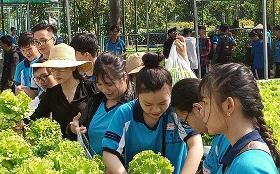 Quê hương tôi – Hòn ngọc Viễn Đông