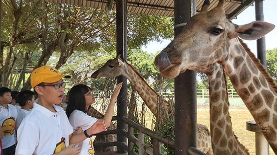 Trang bị kỹ năng sống cho học sinh khối 6