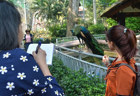 Giáo viên tiểu học tập… viết văn