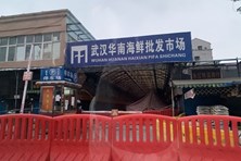 Giới khoa học Trung Quốc tung bằng chứng muốn giải oan cho chợ hải sản Vũ Hán