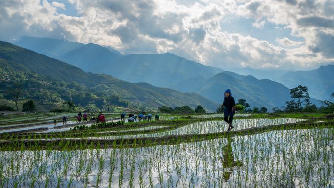 Mùa nước đổ đẹp như tranh ở Lào Cai