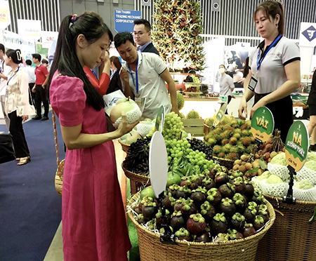 Nói không với xuất khẩu xanh: Doanh nghiệp sẽ bị loại khỏi “cuộc chơi”