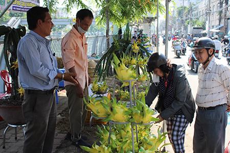 Vĩnh Long: Muốn mở rộng thị trường nông sản ở TP.HCM