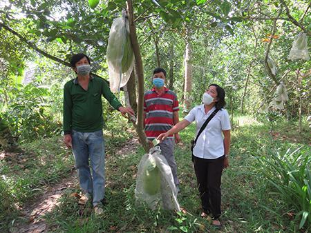 Bao giờ hết cảnh “giải cứu” nông sản?