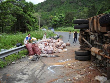 Ách tắc giao thông vì xe tải “đổ” khoai lang tràn đường