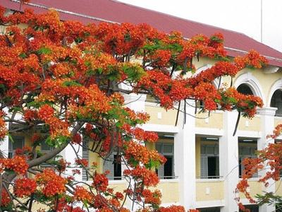 Ai từng dạy tôi thì giơ tay!