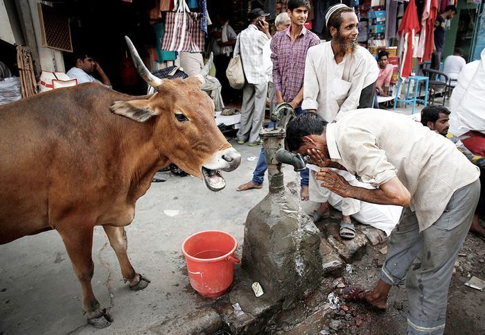 Ấn Độ khủng hoảng nước, hàng trăm triệu người điêu đứng