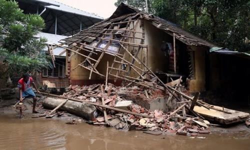 Ấn Độ phát cảnh báo nạn rắn hoành hành ở bang ngập lụt