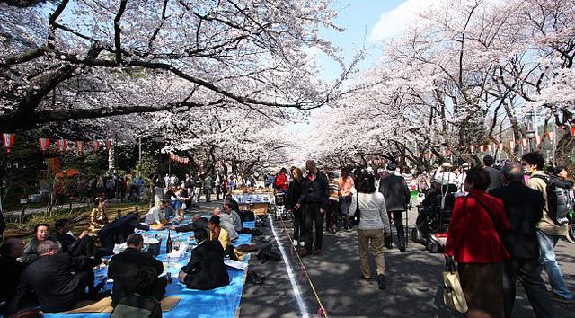 Ăn gì khi đến Tokyo?