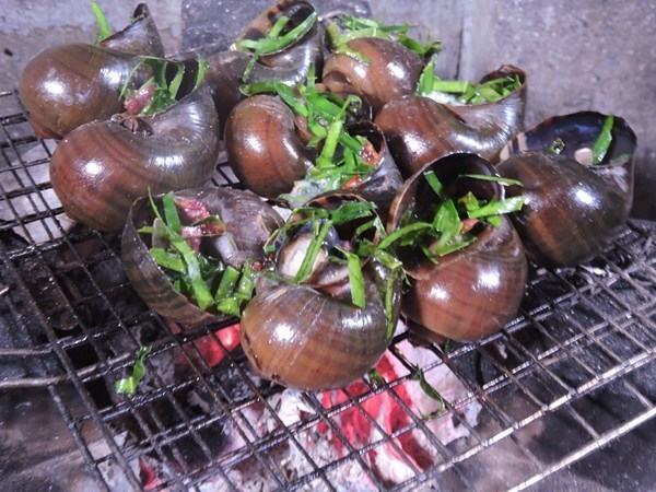 Ăn ốc bươu bị nhiễm ký sinh trùng, 4 cháu bé bị viêm màng não