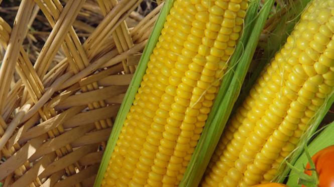 Ăn vặt bắp có khiến bạn tăng cân?