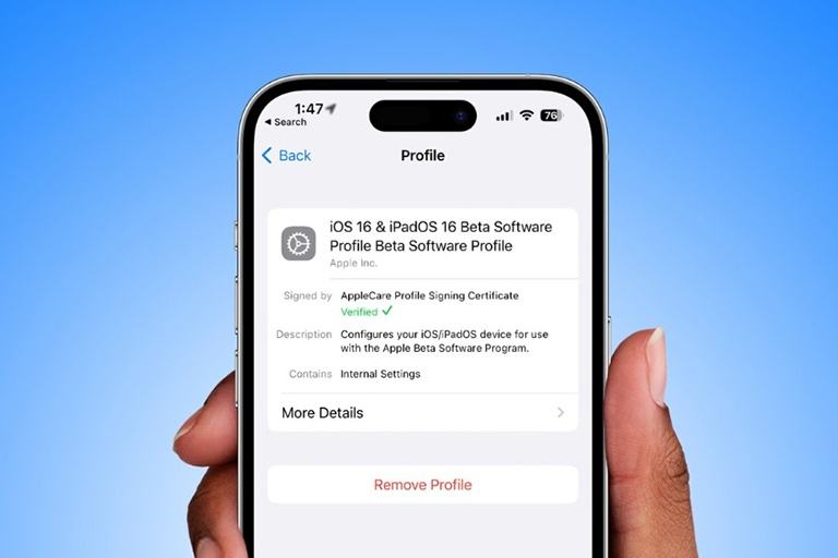 Apple phát hành iOS 16.1, iPadOS 16  - ảnh 2