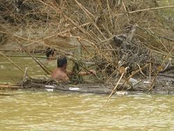 Những người tìm kiếm mày mò từng gốc rể bui cây trên sông để tìm thi thể em Đinh Văn Chí