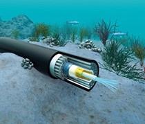 Ba tuyến cáp quang biển đồng loạt gặp sự cố