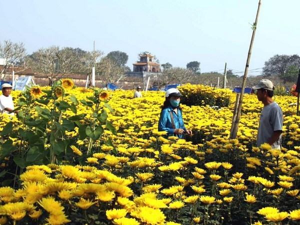 Bắc Bộ ngày nắng, Nam Bộ mưa trái mùa nguy hiểm