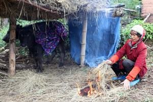 Bắc Bộ rét đậm, vùng núi có nơi xuống dưới 1 độ C