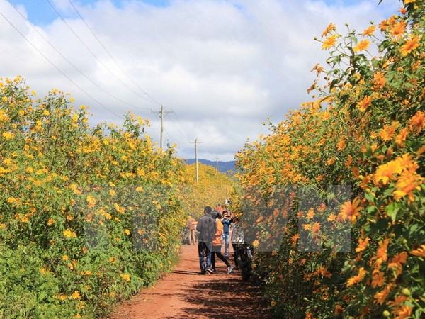 Bắc Bộ và Trung bộ nắng nóng, Nam Bộ đề phòng tố lốc, mưa đá
