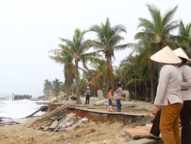 Sạt lở nghiêm trọng tại Cửa Đại (Hội An) đặt ra vấn đề cấp thiết dự trữ cát ven biển
 /// Ảnh: H.X.H