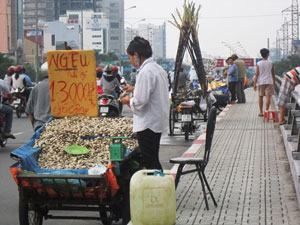 Bán hàng lấn chiếm cầu