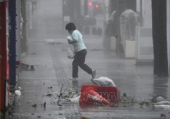 Sức gió mạnh kỷ lục, bão Trami càn quét, gây thiệt hại lớn ở Tokyo, Nhật Bản