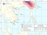 Bão đi vào Đài Loan, ngư trường Việt Nam vẫn có gió mạnh cấp 7, 8.
