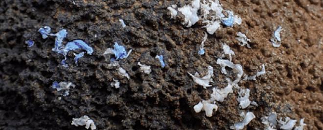 Báo động tình trạng rác thải nhựa bọc vào đá