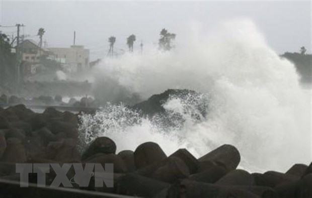 Bão Maysak gây thiệt hại lớn tại Nhật Bản và Trung Quốc