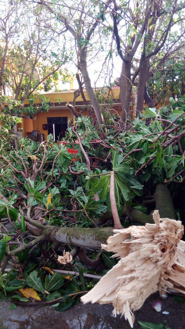 Bão quét Trường Sa, giàn pin mặt trời bị gió cuốn mất - Ảnh 3.