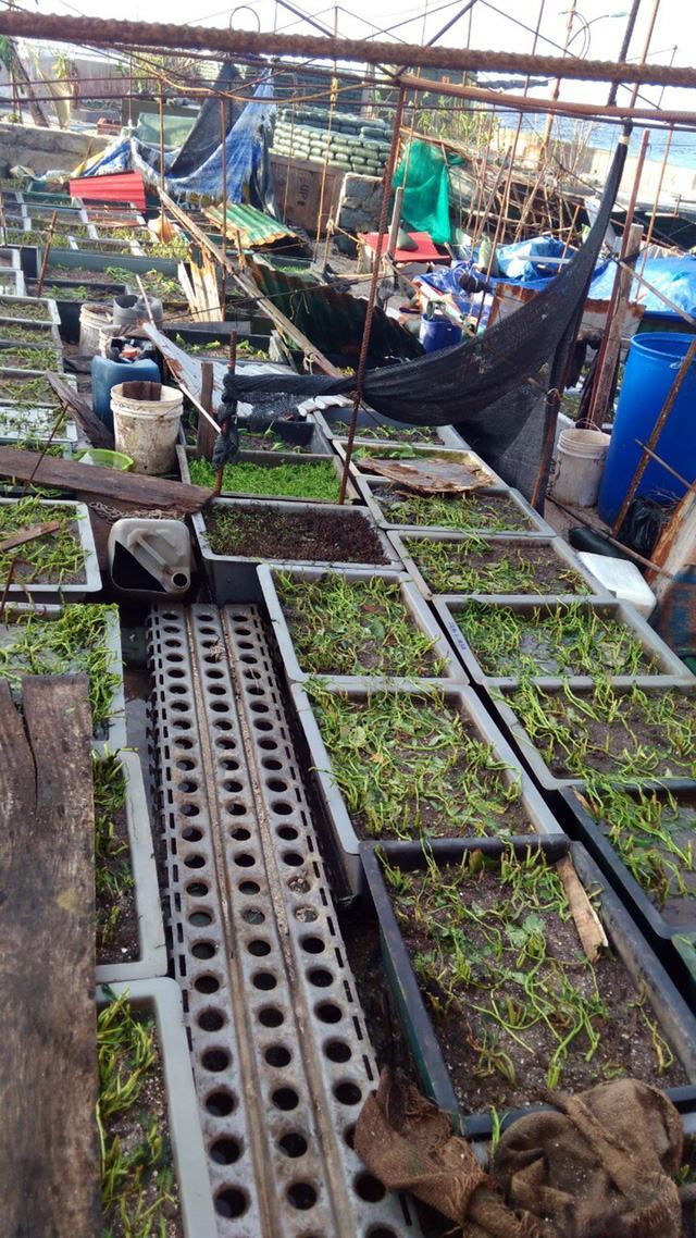 Bão quét Trường Sa, giàn pin mặt trời bị gió cuốn mất - Ảnh 10.