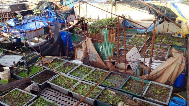 Bão quét Trường Sa, giàn pin mặt trời bị gió cuốn mất - Ảnh 11.