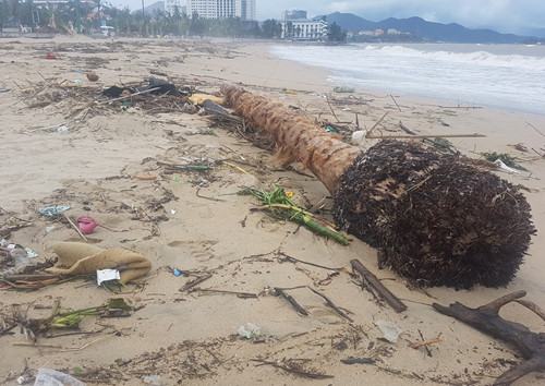 Bão số 12 đi qua, không còn nhận ra bãi biển Nha Trang thanh bình sạch đẹp  - ảnh 5