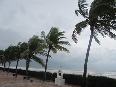 Bão số 4: Học sinh Đà Nẵng được nghỉ học ngày 13.9 - ảnh 1